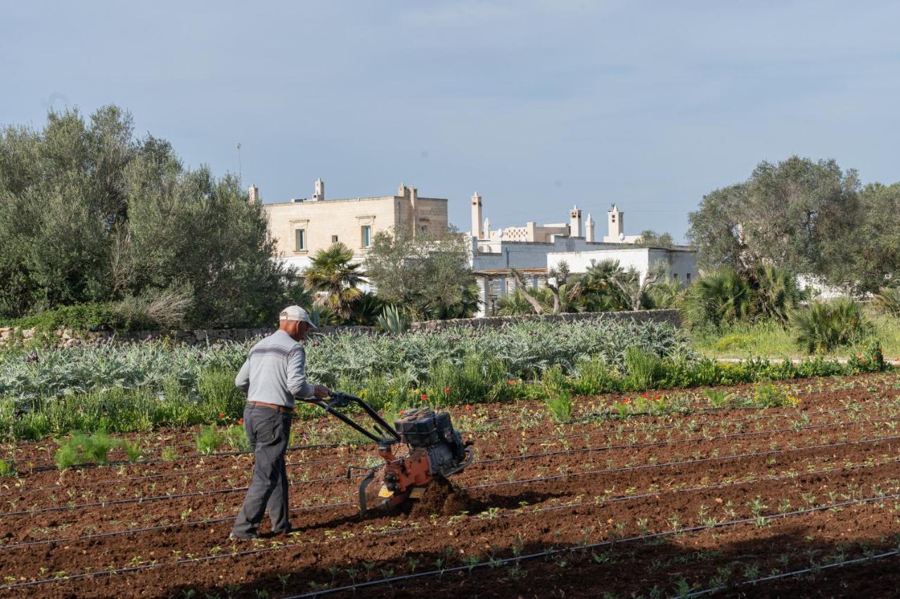 Masseria Palombara Relais & Spa - Adults Only Manduria Dış mekan fotoğraf